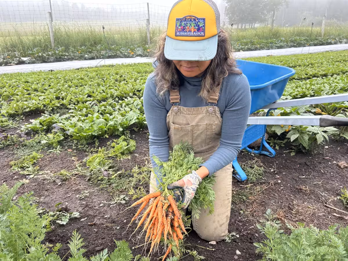 slow-food-carrot